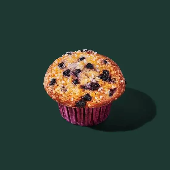 Starbucks Blueberry Muffin